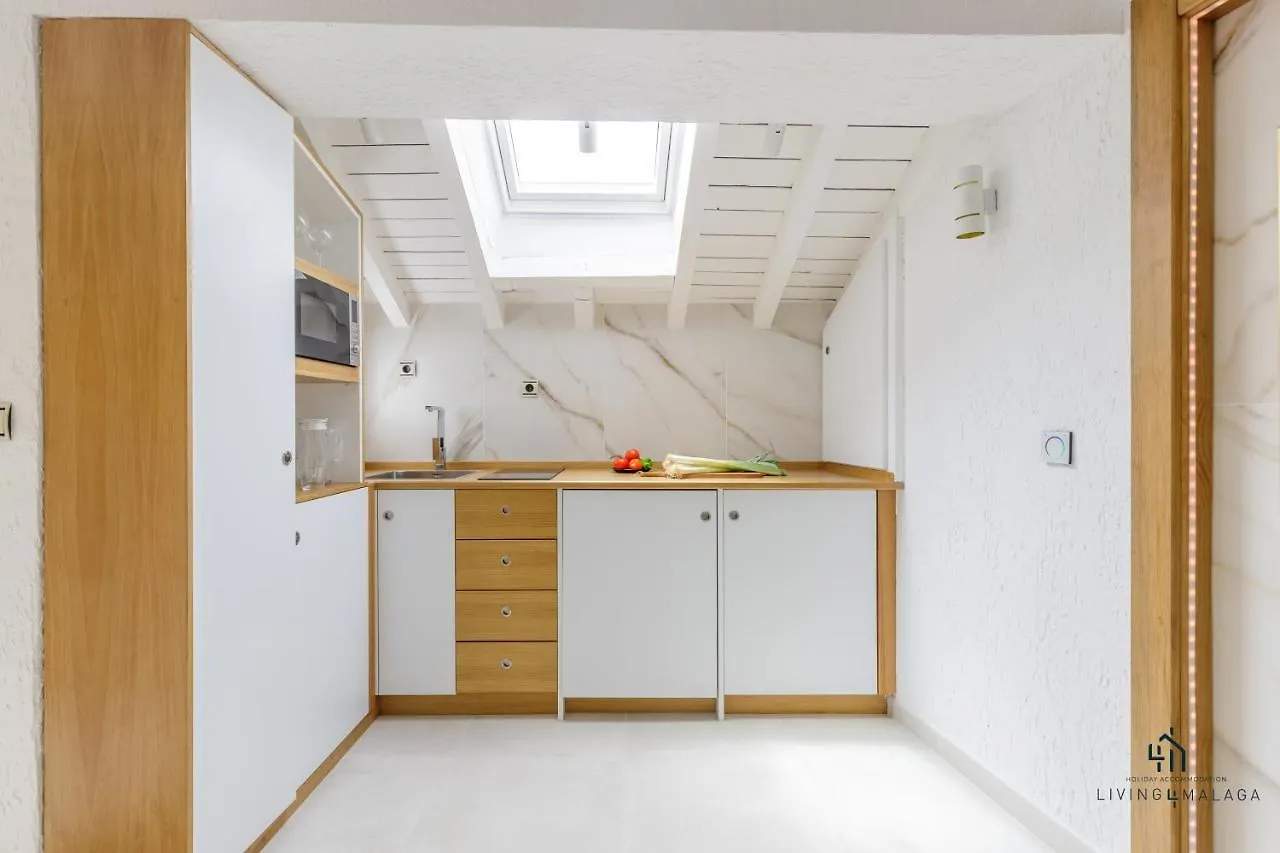 Living4Malaga Terraza Andaluza Apartment