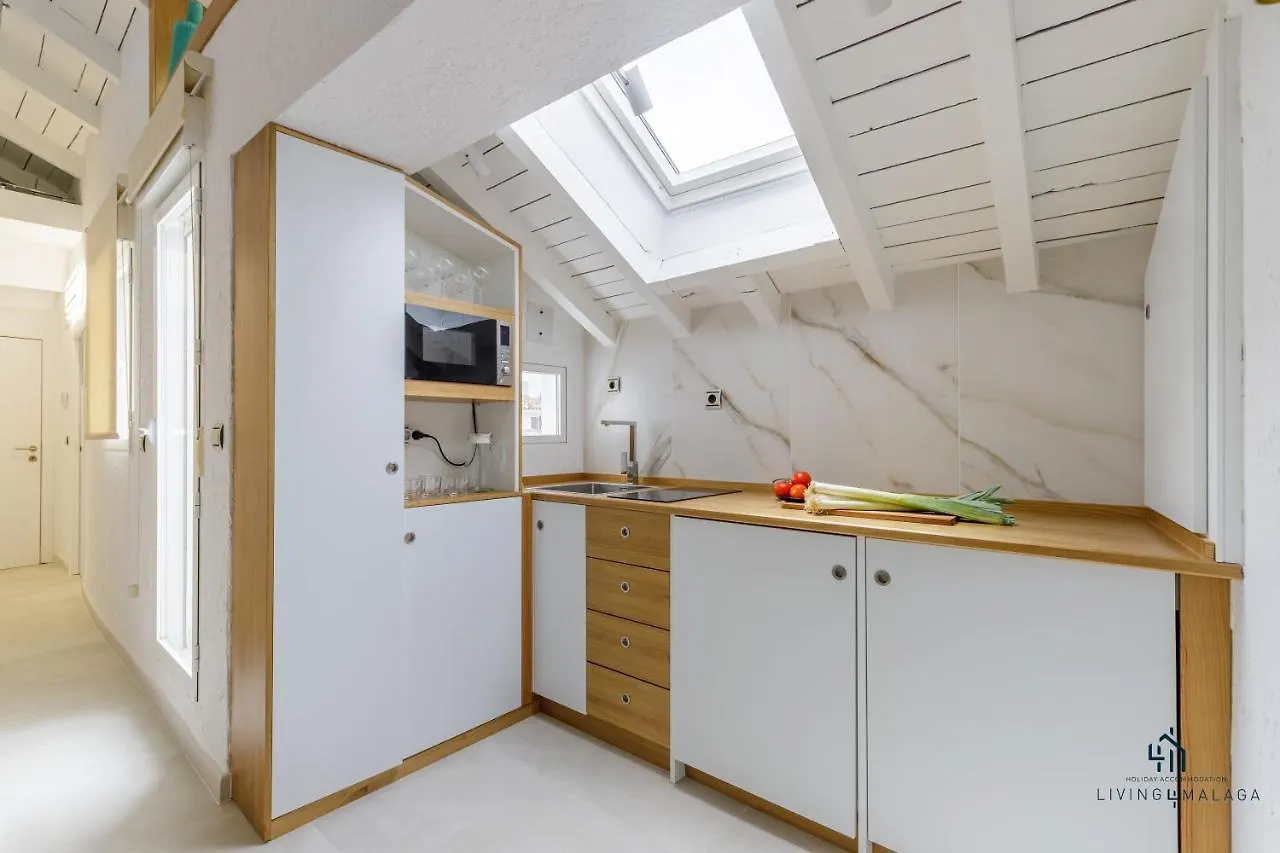 Living4Malaga Terraza Andaluza Apartment