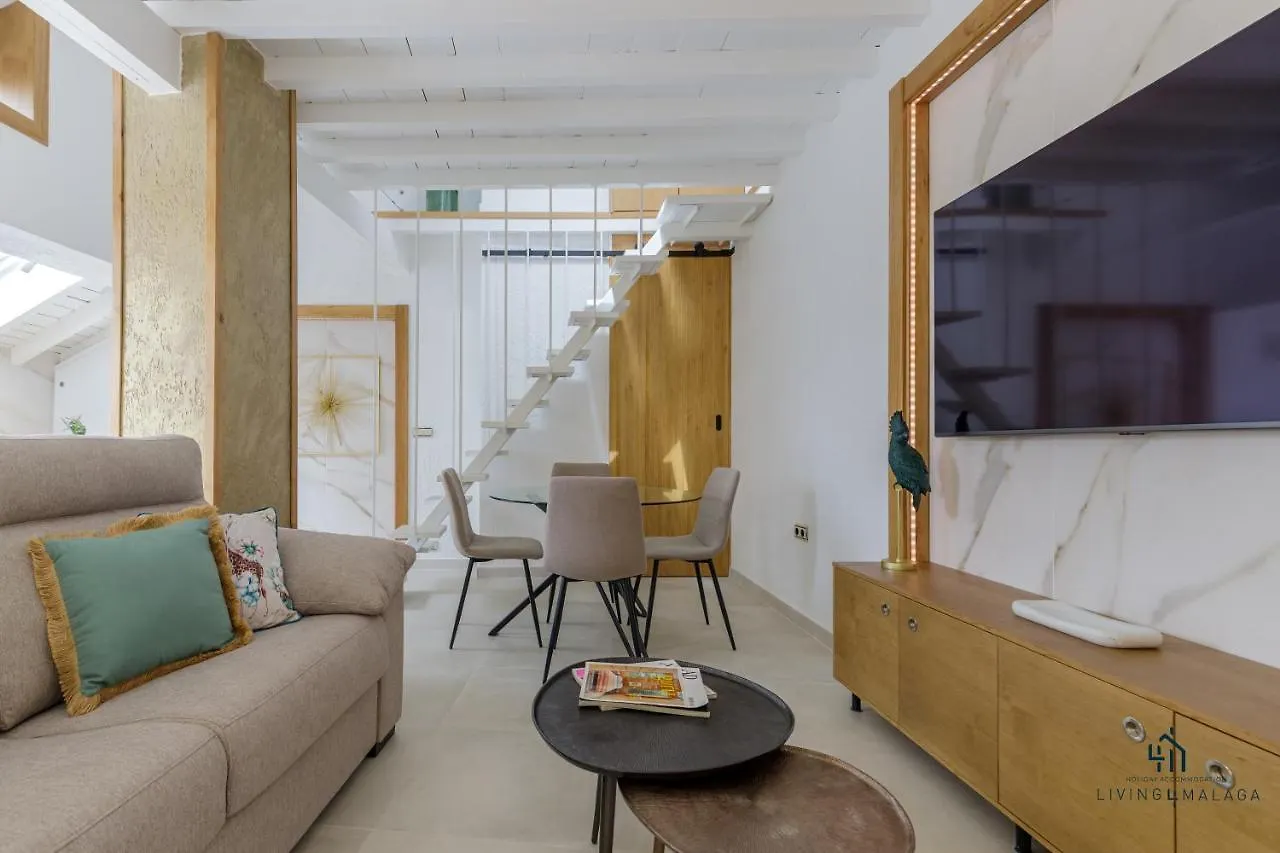 Living4Malaga Terraza Andaluza Apartment  Malaga