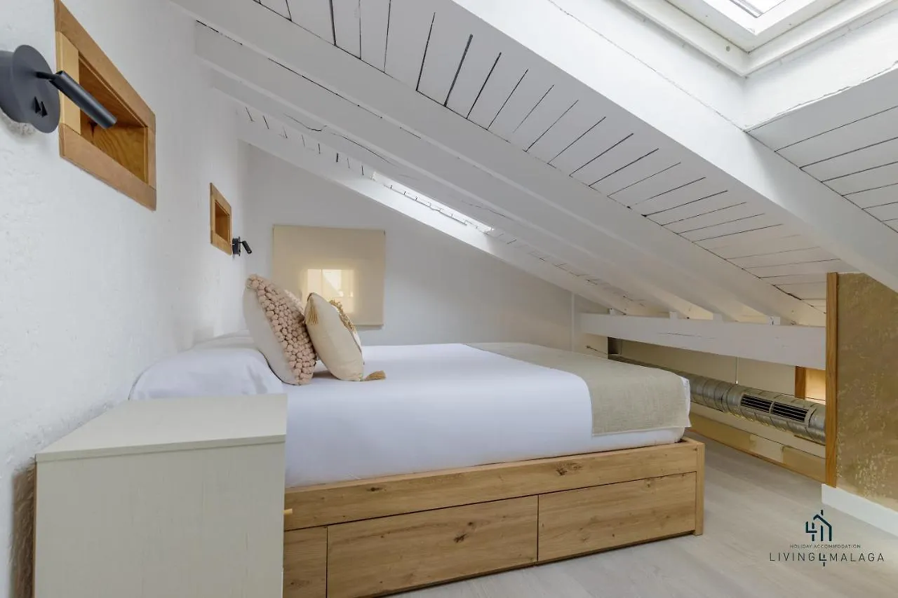 Living4Malaga Terraza Andaluza Apartment Spain